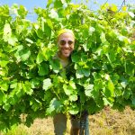 ADOZIONI-IN-VIGNA-Davide-Vignato-8.jpg