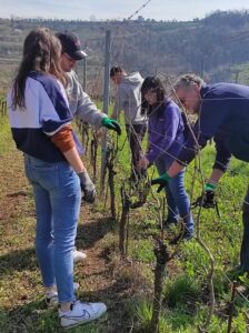 adottanti in vigna durante la potatura 2023
